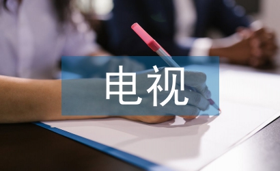 電視媒體論文