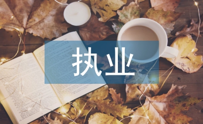 執業審計工作總結