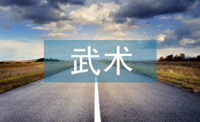 武術協會年工作計劃