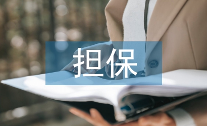 擔保業務工作計劃