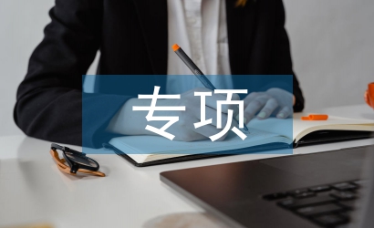 保密工作專項督察報告