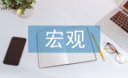 宏觀經濟管理論文